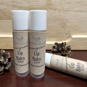 Organic Shea butter lip balm | coconut lip salve | skin care | stocking stuffer | creamy Chapstick | smooth slip | moisturizing lip care |