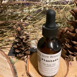 Organic plantain oil | botanically infused skincare | herbal wildcrafted | DIY salve | allantoin balm handmade cream | moisture ointment