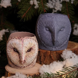 May include: Two owl-shaped planters, one in cream and the other in gray, sit on wooden slices. The cream-colored planter has a detailed owl face with brown eyes and a textured surface. The gray planter has a similar owl face design. The background includes evergreen branches and white accents.