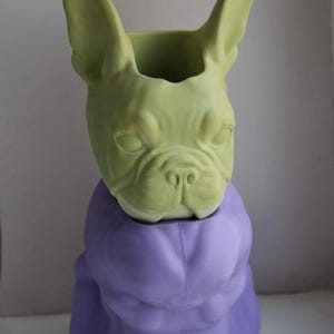 Könnte beinhalten: Ein grüner Keramik-Pflanztopf in Form eines französischen Bulldoggenkopfes. Der Topf steht auf einem violetten Keramiksockel mit dem Text "MO" und "AVOCA" auf der Unterseite.