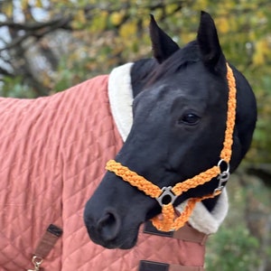 Könnte beinhalten: Ein schwarzes Pferd mit einem orangefarbenen Halfter und einer gesteppten, pfirsichfarbenen Pferdedecke.