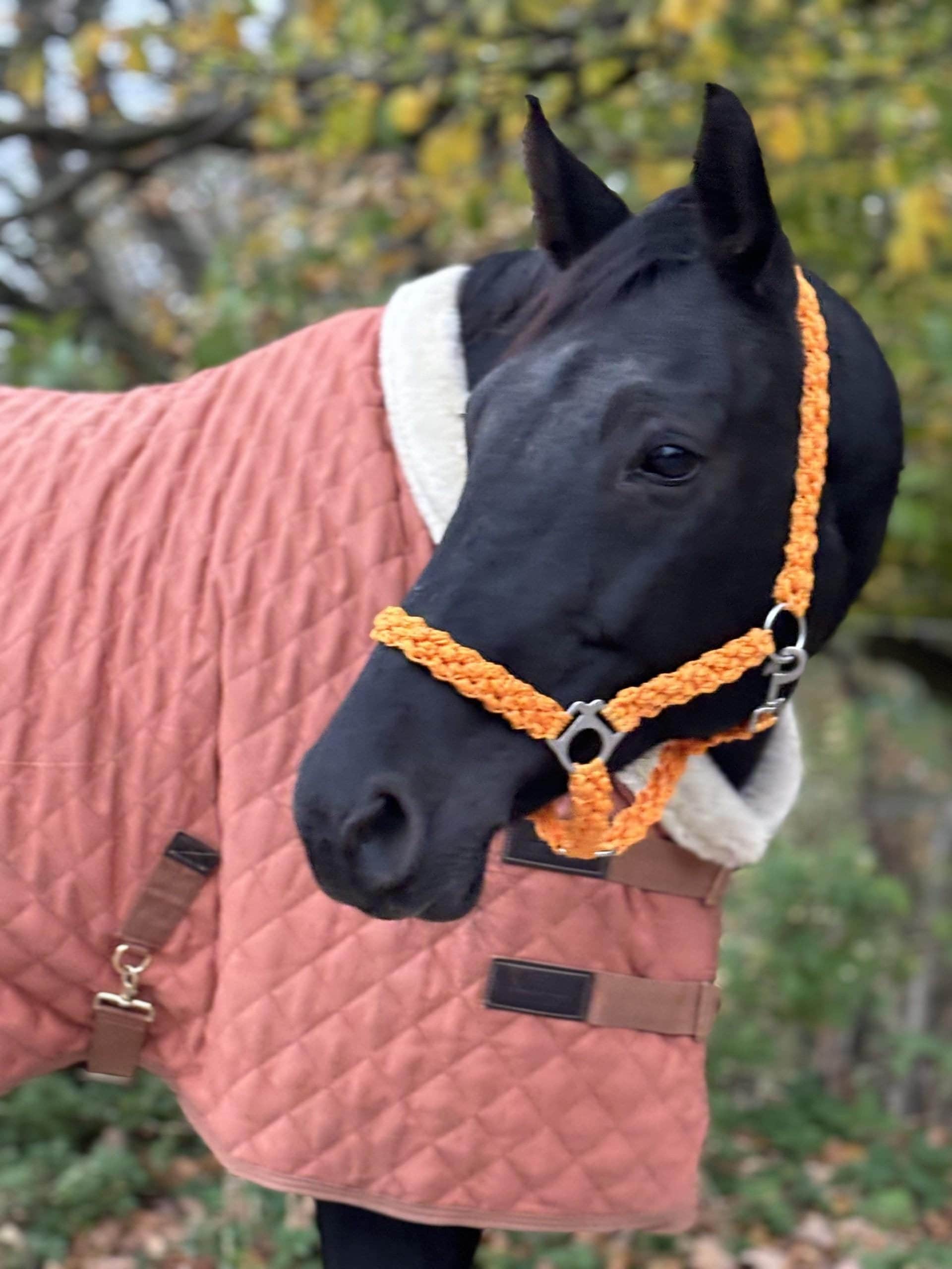 Hobby Horse Zügel 26 Verschiedene Farben Mit Karabiner