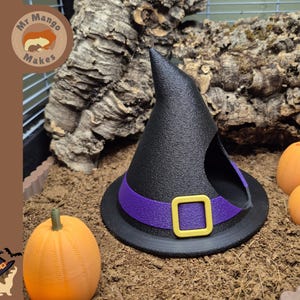 May include: A black witch hat-shaped pet hideout featuring a purple band and a yellow square buckle. The structure has a circular opening on the side and is surrounded by three small orange pumpkins on a brown textured ground surface.