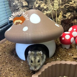 Mushroom Hamster Hide, Hamster Natural Hide, Reptile Hide, Mouse Hide, Small Animal Hide, Hamster Accessories