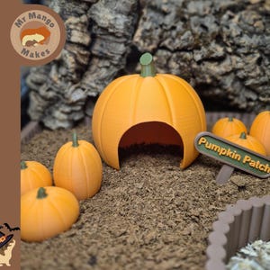 May include: A 3D-printed orange pumpkin hideout with a green stem and a large arched opening, surrounded by several smaller orange pumpkins and a brown sign with green trim that reads Pumpkin Patch in raised yellow letters.