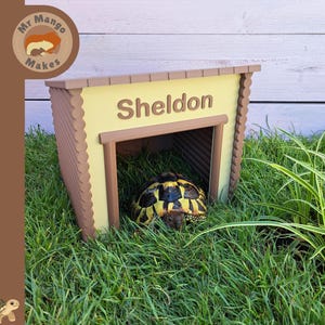 May include: A light yellow and brown tortoise house with a log-style frame and the name Sheldon printed in brown letters on the front. A patterned tortoise is positioned inside the open entrance of the structure, which sits on green grass.