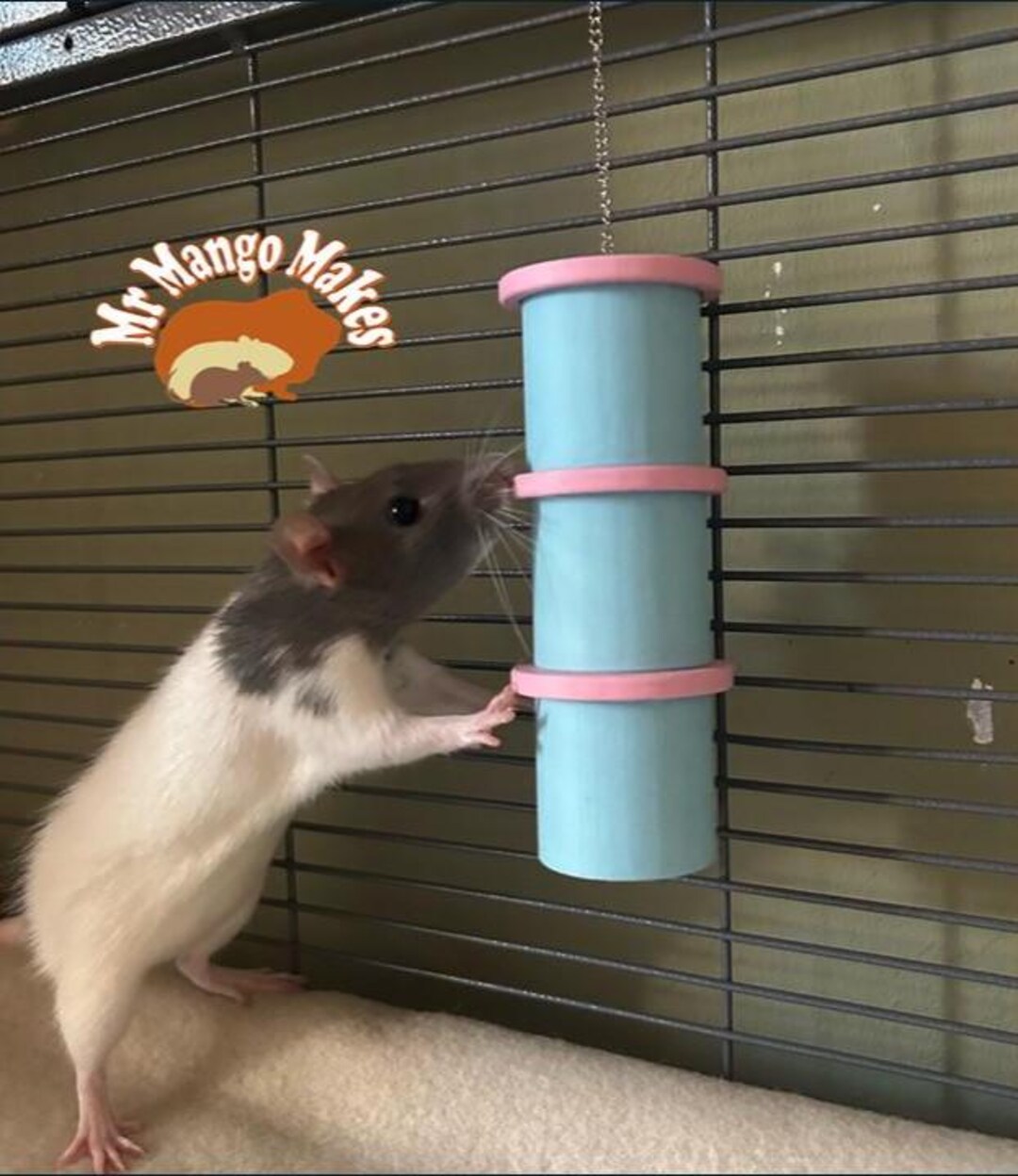 Rat Hanging Foraging Toy, Rat Enrichment, Bird Enrichment Toy, Small ...