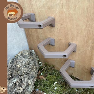 Reptile Climbing Hoops, Snake Climbing Enrichment, Reptile Decor, Reptile Accessories, Snake Accessories