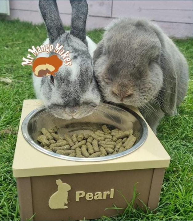 Carrot Ceramic Rabbit Feeding Bowls Rabbit Customisable Food Or