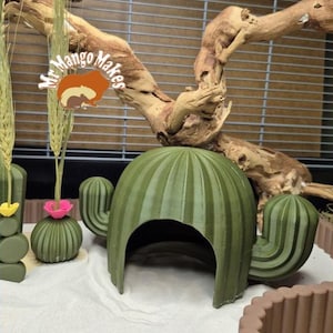 May include: A green cactus-shaped pet habitat with a rounded top and side arms. The habitat is part of a set that includes other cactus-themed decorations, such as a small cactus with a pink flower. The sign says "Mr Mango Makes".