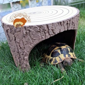 May include: A brown and white tree stump-shaped pet house with a tortoise inside. The pet house has a circular top with concentric rings and a textured, bark-like exterior. The tortoise has a patterned shell and is surrounded by green grass.