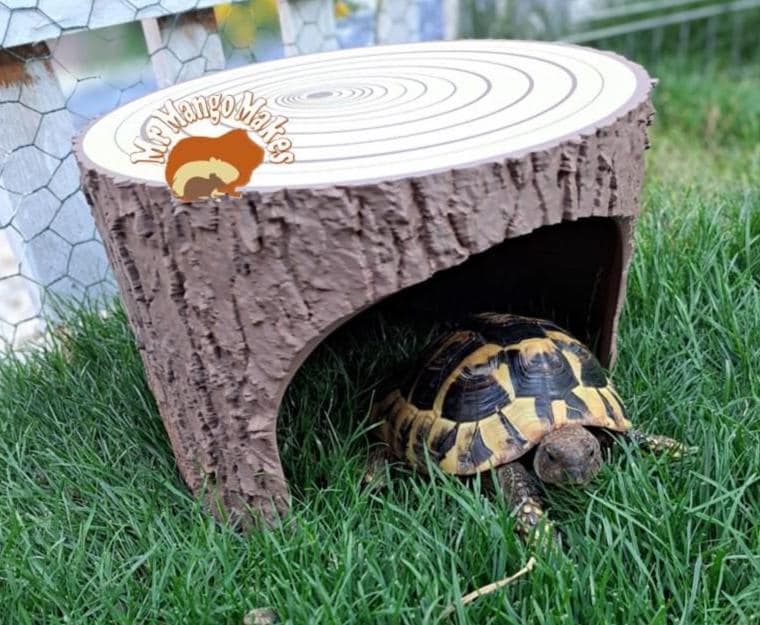 Tortoise Hide Tree Stump Hide, Reptile Hide, Natural Hide, Mouse