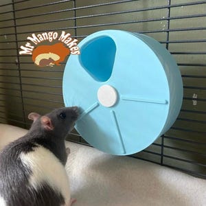 Foraging Wheel, Rat Foraging Wheel, Rat Enrichment Toy, Bird Enrichment Toy, Small Animal Enrichment Toy