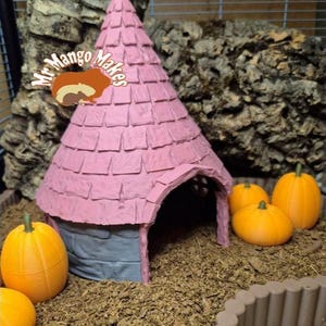 May include: A pink, castle-shaped pet house with a conical roof and arched entrance. The house is surrounded by orange pumpkins and sits on a bed of brown bedding. The image includes the text "Mr Mango Makes".