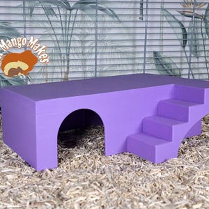 May include: Purple platform with a tunnel and stairs for small animals. The platform is made of a sturdy material and has a smooth finish. It is designed to provide a fun and challenging environment for small pets.
