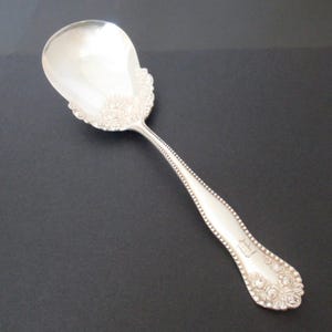 May include: A silver serving spoon with a wide, rounded bowl and a long, decorated handle. The bowl is edged with a floral design, and the handle features a beaded border. The spoon has an engraved initial on the handle.