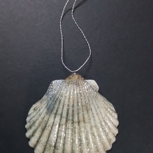 May include: A white seashell ornament with silver glitter, featuring a delicate, fan-shaped design. The ornament is attached to a silver string for hanging.