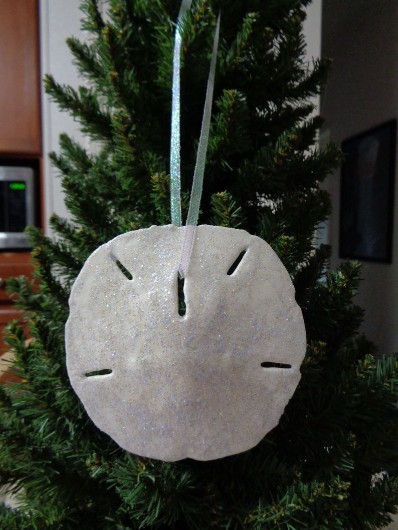 Large Iridescent Sand Dollar Shell Christmas Tree Ornament Etsy
