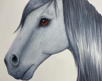 Grey Horse Art Print (5"x7") 'Adalgesia'