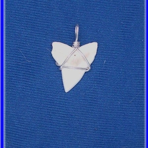 Buy 1 Get 1 Huge Bull Shark tooth pendant. B17 image 2