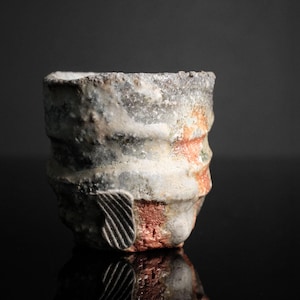 Iga Guinomi di Fujioka Shuhei (伊賀 ぐい呑) – Texture cotta a legna ed effetti di frassino naturale / Con Tomobako