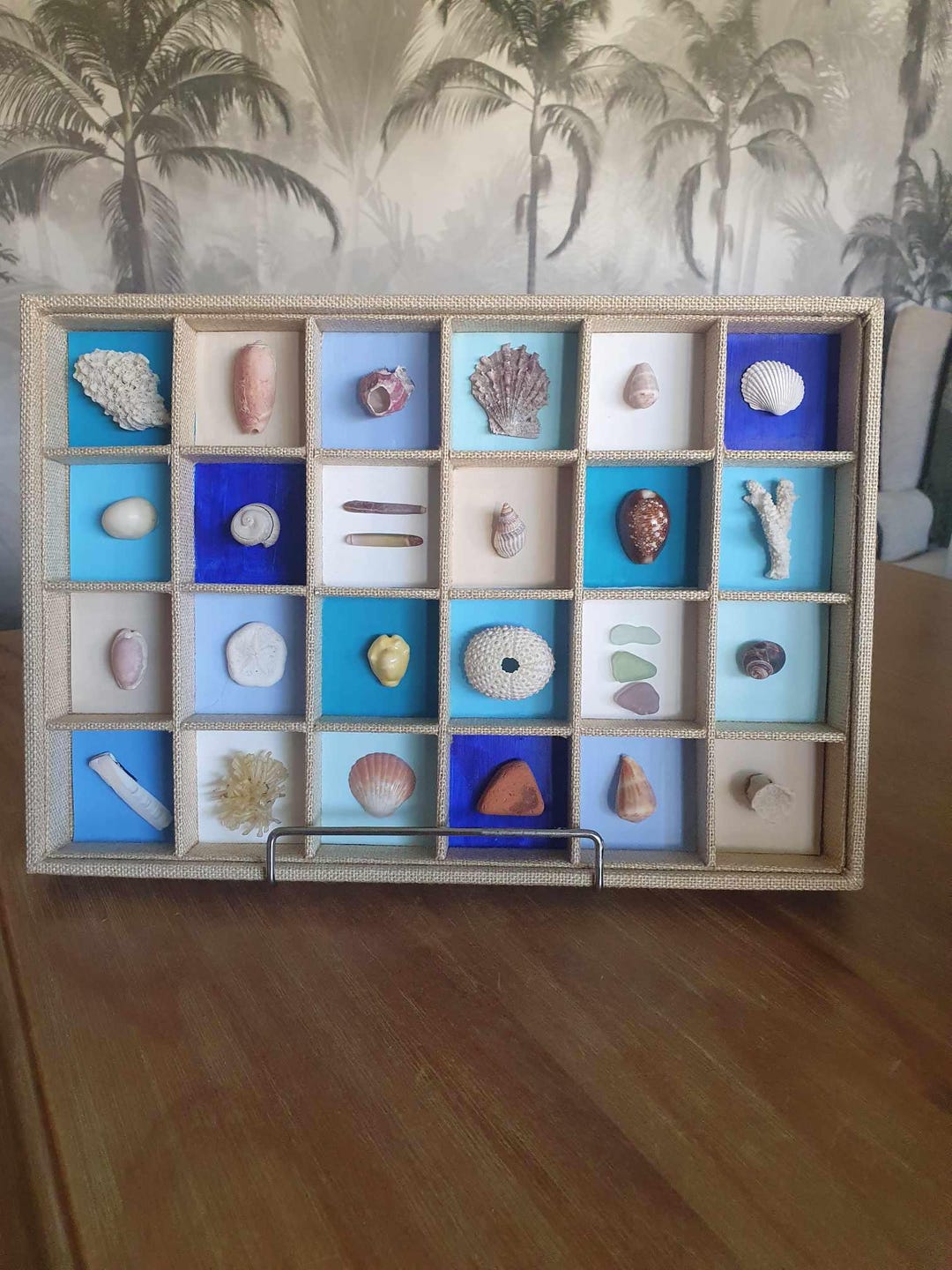 Jute Display Case With Seashells and Beach Finds - Etsy