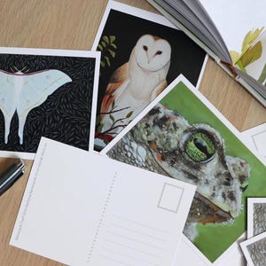 Postcards