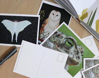 Postcards
