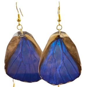 Butterfly Wing Earrings