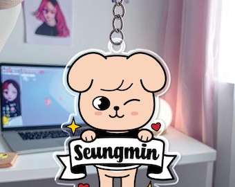Llavero acrílico con personajes adorables: Seungmin, Han, Hyunjin, Felix, Bang Chan, Jeongin, Lee Know. Llavero acrílico de anime. Llavero de animal personalizado.