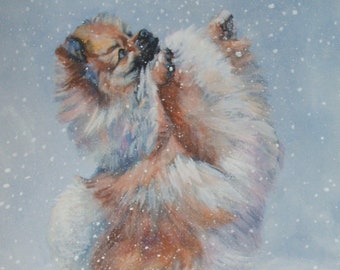 POMERANIAN dog ART portrait canvas PRINT of LAShepard painting 8x10