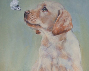 LABRADOR Retriever dog ART portrait PRINT of LAShepard painting 8x10 yellow lab