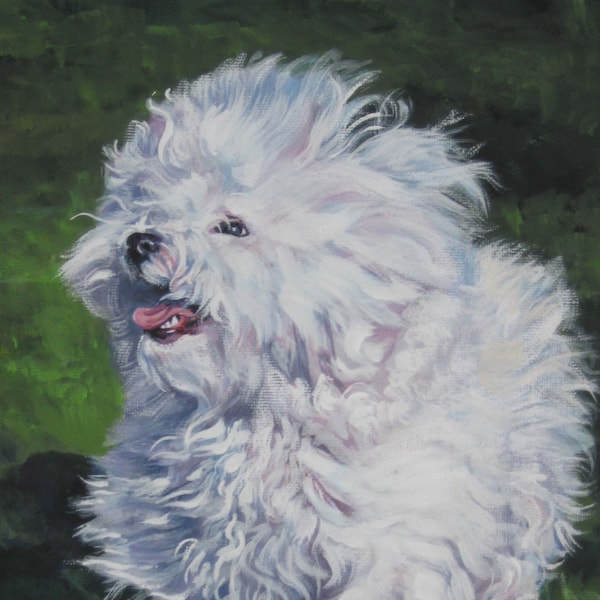 Bichon Bolognese dog art print of LA Shepard painting 8x10