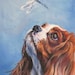 see more listings in the Dog Breeds C D E section