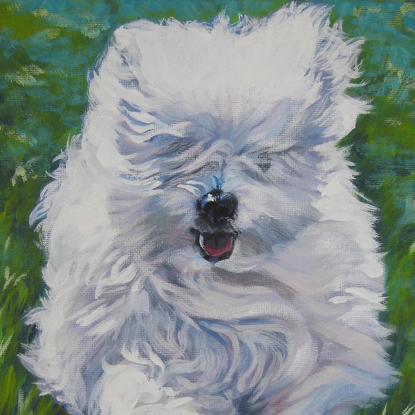 COTON De Tulear cane ARTE STAMPA su tela del dipinto LAShepard 8x10