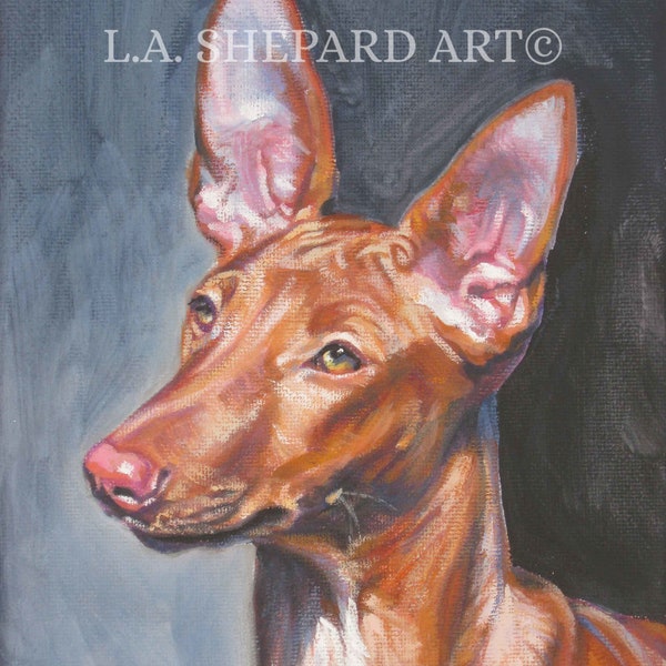 PHARAOH HOUND chien portrait art toile PRINT de LAShepard peinture 8x10 »