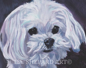 MALTESE DOG portrait art Canvas PRINT of LAShepard painting 12x12"