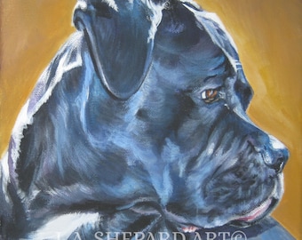 CANE CORSO dog art portrait canvas Print of LAShepard painting 8x8"