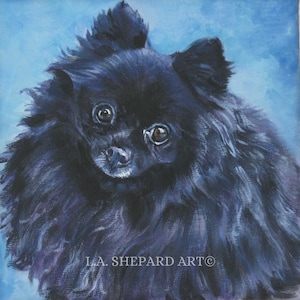 Leinwand Druck schwarz POMERANIAN Hundeportrait Gemälde LA Shepard 20x20
