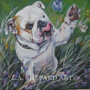 ENGLISH BULLDOG dog art portrait canvas PRINT of LAShepard painting 8x8"