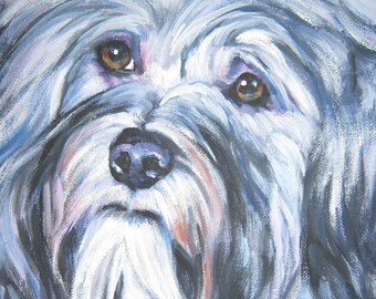 HAVANESE dog art portrait canvas PRINT of LAShepard painting 8x8