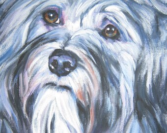 Havanese dog art portrait print of LA Shepard painting 8x8