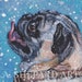 see more listings in the Dog Breeds N O P section