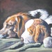 see more listings in the Dog Breeds A B section