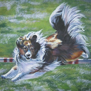 SHETLAND SHEEPDOG Sheltie Agility Hund Kunst Leinwand DRUCK von LAShepard Gemälde 8x8&quot;