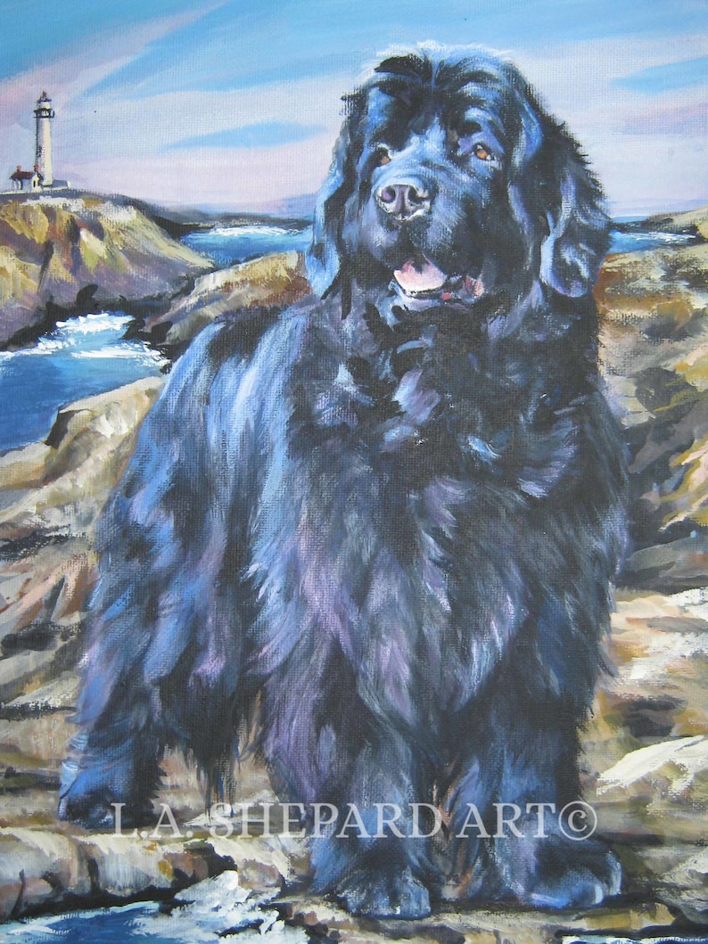 NEWFOUNDLAND dog art Canvas PRINT of lashepard painting 12x16 NEWFIE image 1