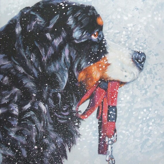 Bernese Mountain Dog art portrait CANVAS print of LA Shepard Etsy