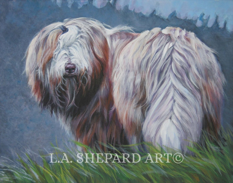 Bearded collie BEARDIE dog ART PRINT of LAShepard painting 11x14