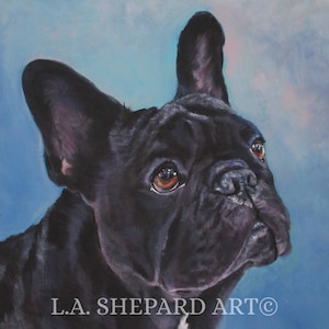 FRENCH BULLDOG art portrait canvas PRINT of LAShepard painting frenchie dog 12x12"