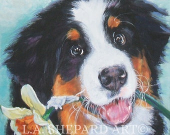 Bernese Mountain Dog art portrait print of LA Shepard painting 8x8